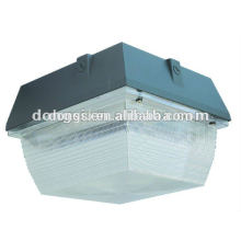 Ceiling light fixture garge lamp